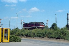 Lauenburg, June 1982